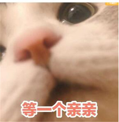 撩喜欢女生的表情包 最新撩妹表情包 撩喜欢女生的表情包 最新撩妹表情包第14张